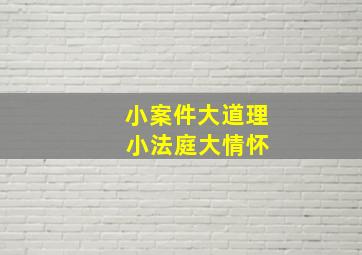 小案件大道理 小法庭大情怀